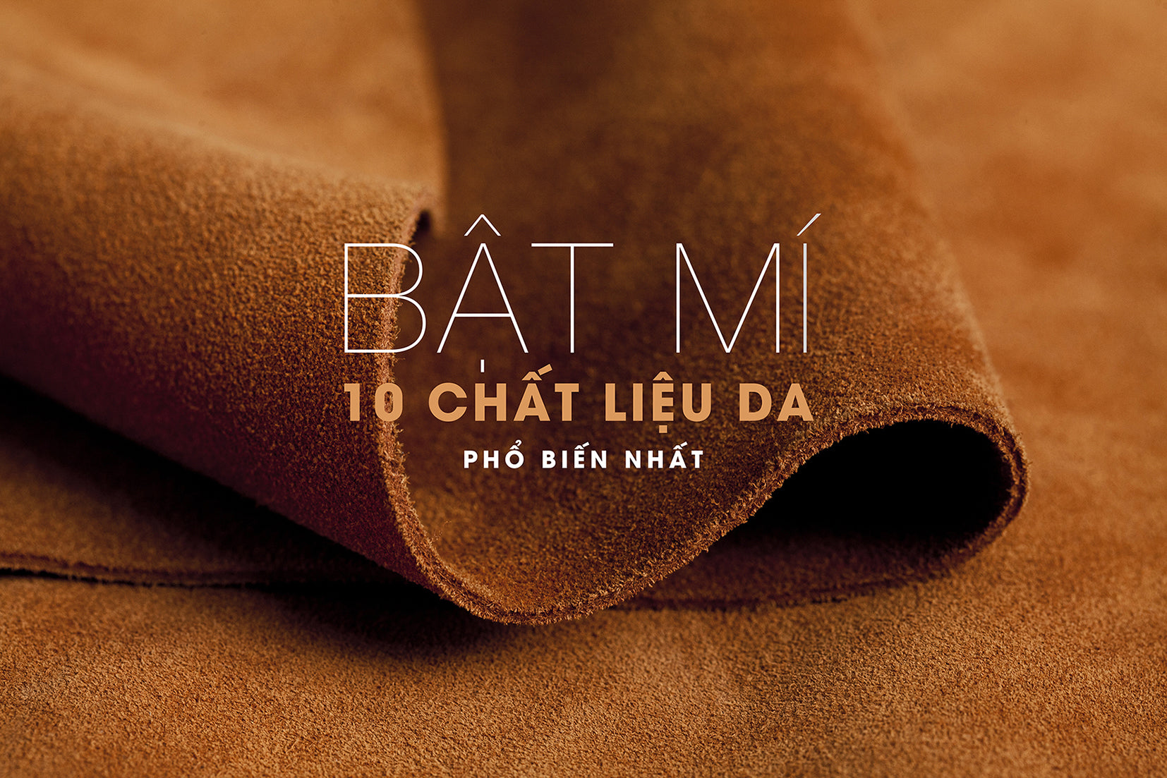 Bật Mí 10 Chất Liệu Da Phổ Biến Nhất