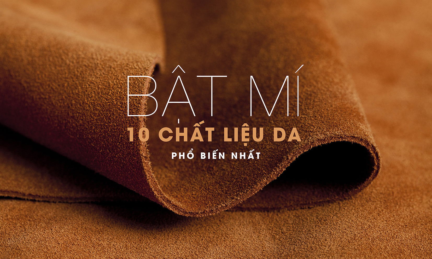 Bật Mí 10 Chất Liệu Da Phổ Biến Nhất