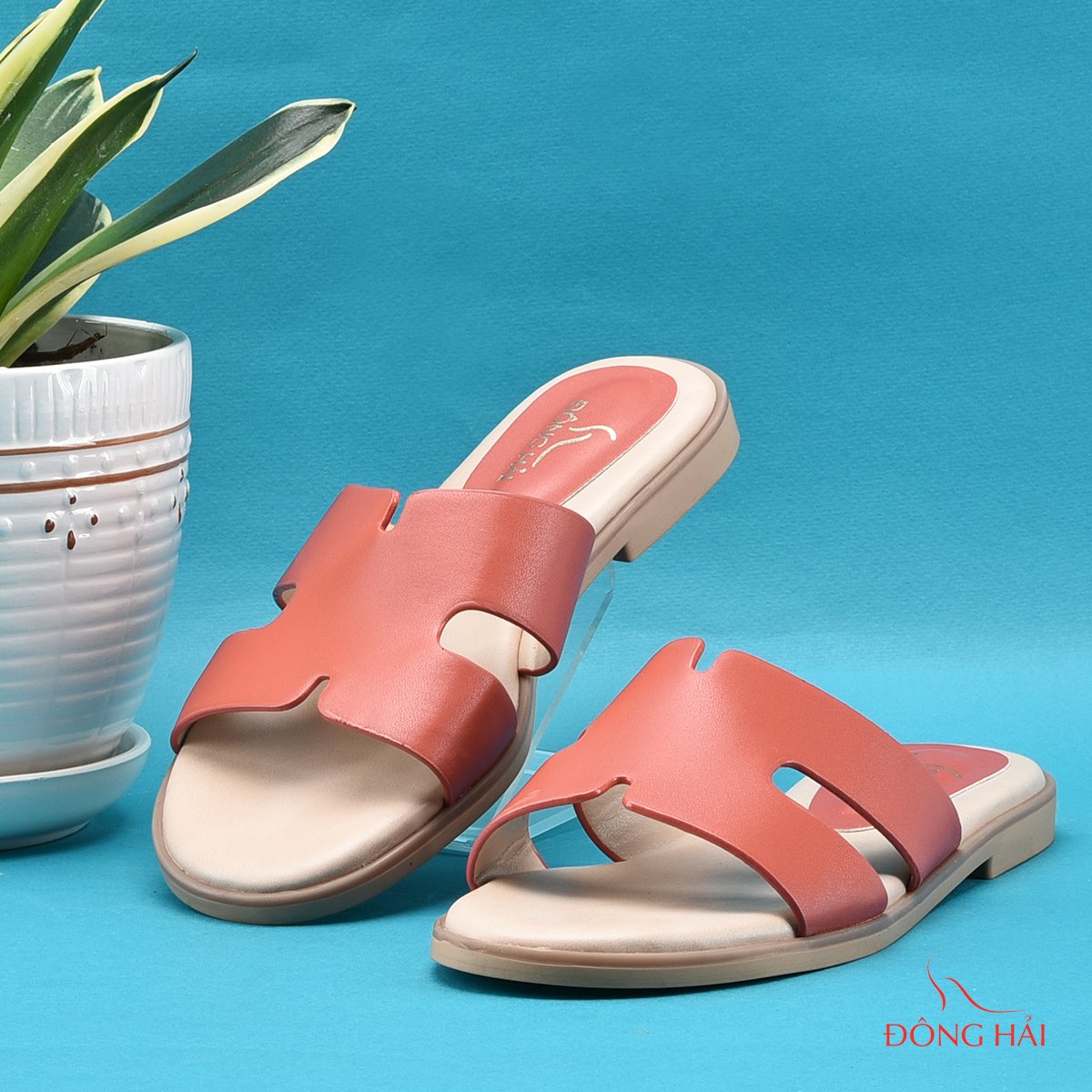 Dép nữ Đông Hải D85G6