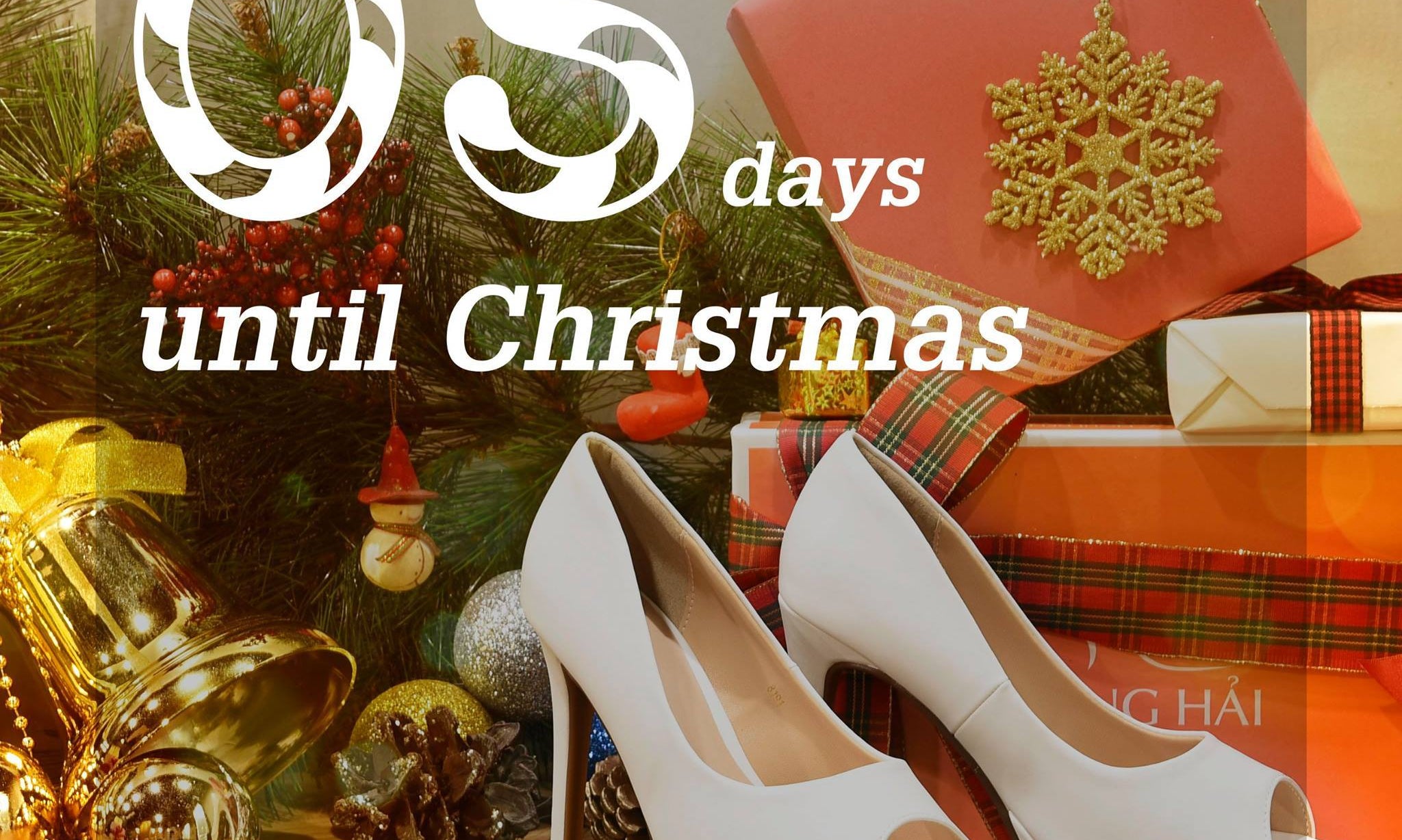 Giày cao gót nữ Đông Hải