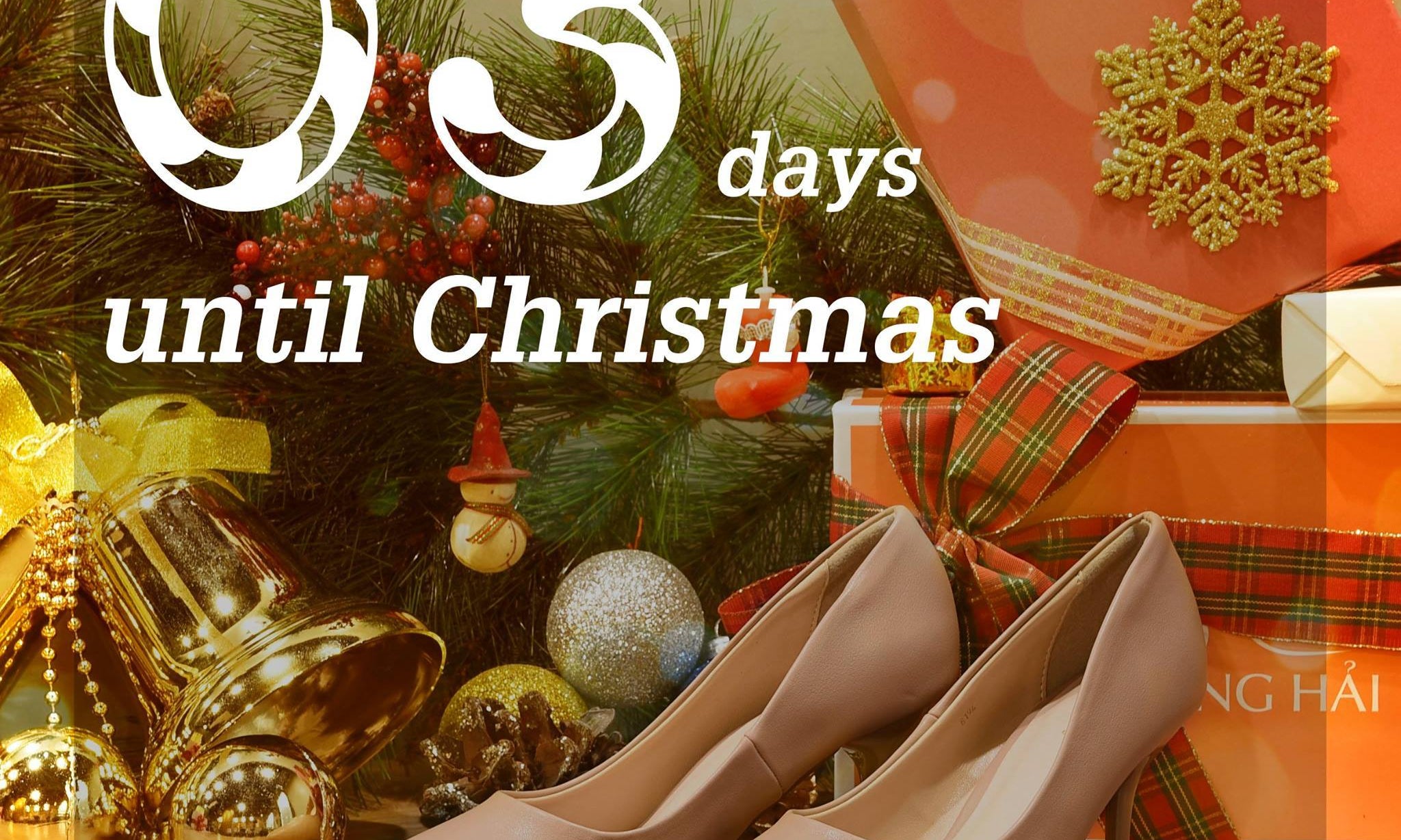 Giày cao gót nữ Đông Hải