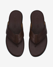 D3108Nâu Color1