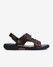 S1131Nâu Color2First