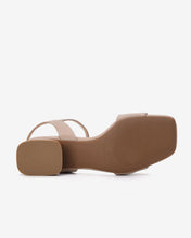 S7721Cafe Color2